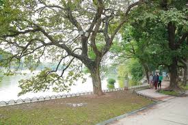 Miền Bắc khô hanh giảm dần, Nam Bộ có mưa rào vài nơi